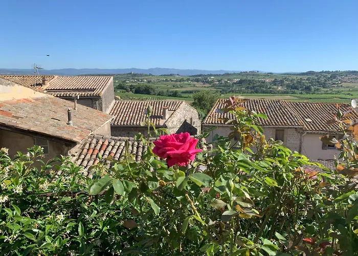 La rose du vent
